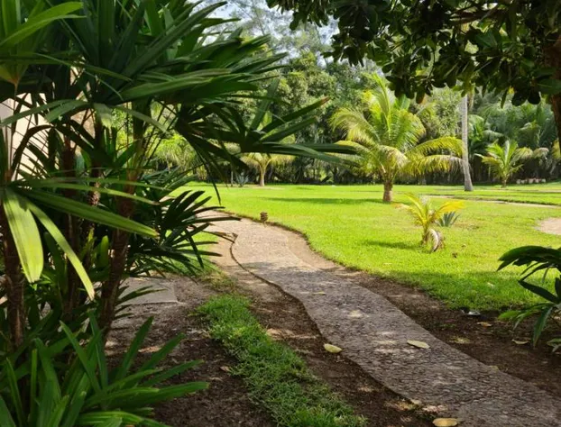 Isla Tajín Beach & River Resort hotel detail image 4