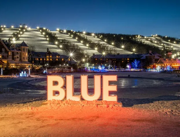 Blue Mountain Resort Village Suites hotel detail image 3