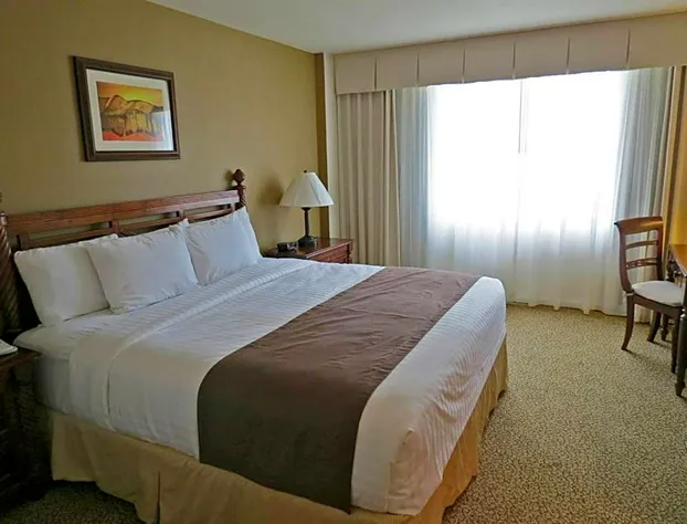 Mayaguez Resort & Casino hotel detail image 3