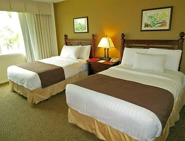 Mayaguez Resort & Casino hotel detail image 4