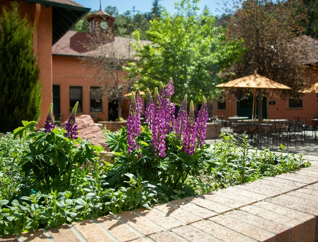 Glen Eyrie Castle & Conference Center A Ministry of the Navigators hotel detail image 1