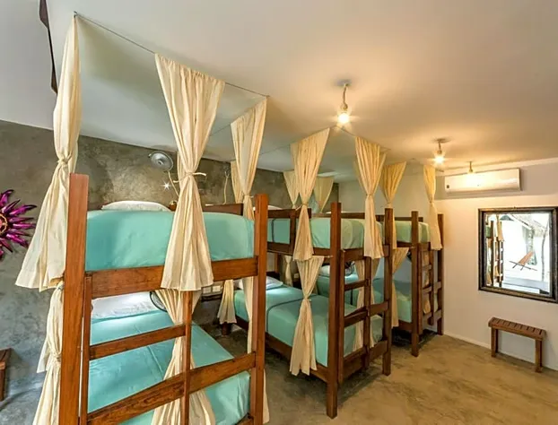 Mimosa Tulum Hotel & Hostel hotel detail image 1