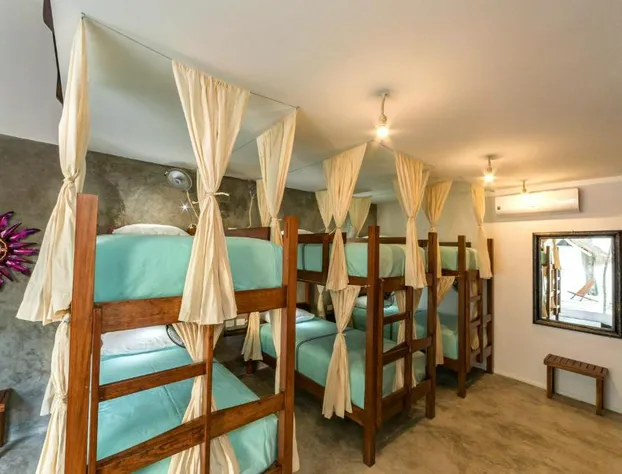 Mimosa Tulum Hotel & Hostel hotel detail image 3