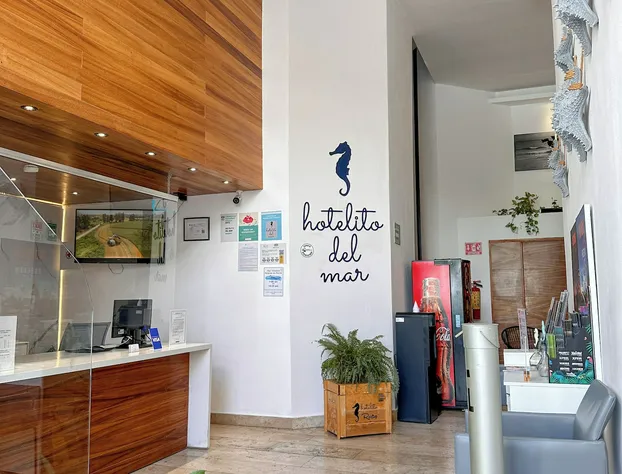 Hotelito del Mar hotel detail image 4