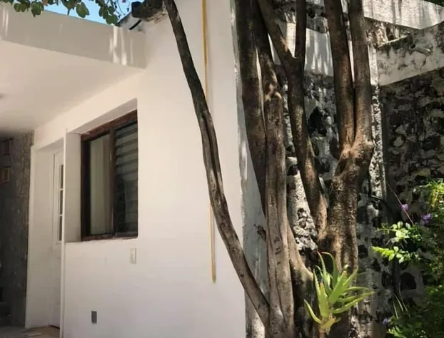 Nido de Colibrí Hotel Relax hotel detail image 1