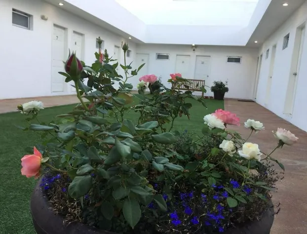 Hotel Baja hotel detail image 2