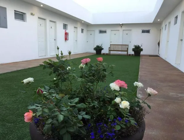 Hotel Baja hotel detail image 1