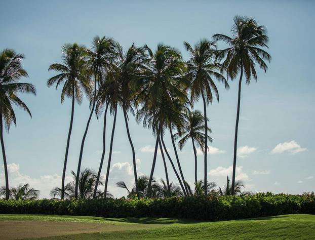Wyndham Palmas Beach and Golf Boutique Resort hotel detail image 2