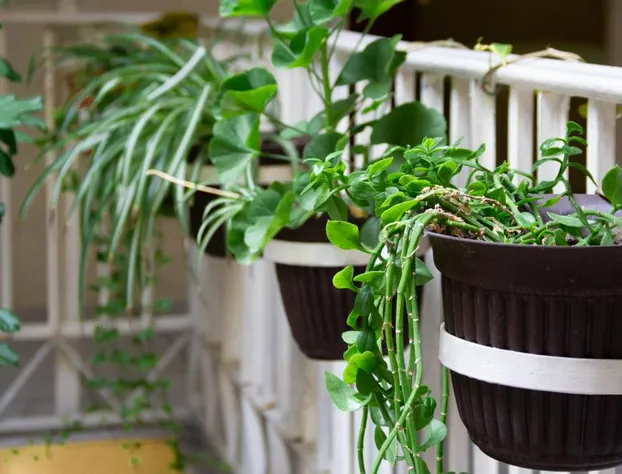 Pequeno Gran Hotel hotel detail image 3