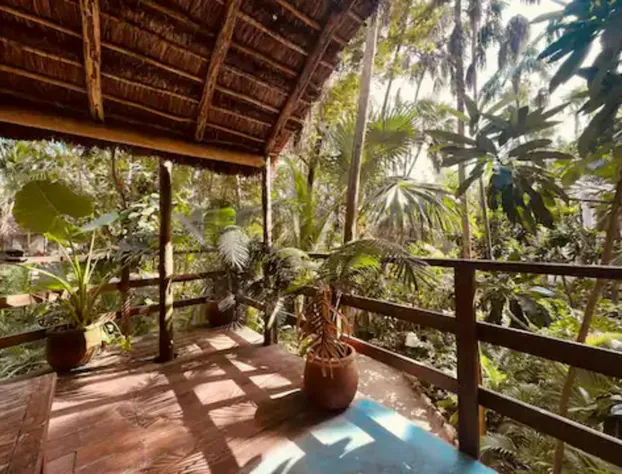 Dos Ceibas Tulum Feel Good Hotel hotel detail image 2