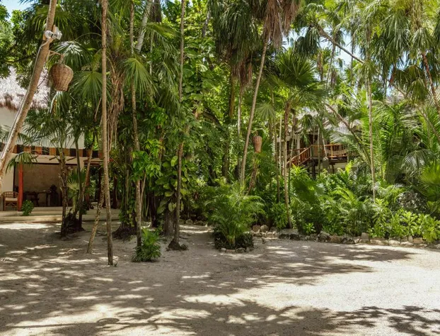 Dos Ceibas Tulum Feel Good Hotel hotel detail image 3