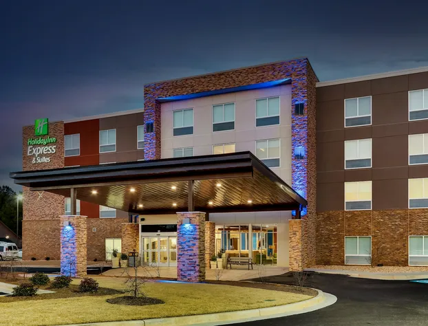Holiday Inn Express & Suites Dawsonville by IHG hotel detail image 1