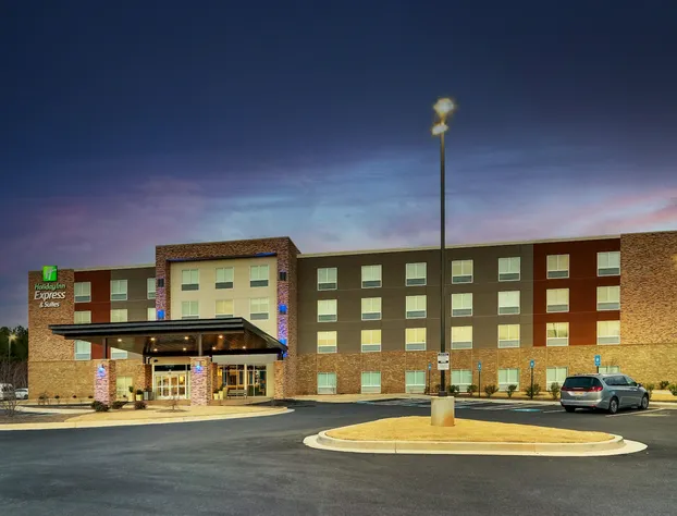 Holiday Inn Express & Suites Dawsonville by IHG hotel detail image 2