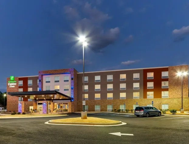 Holiday Inn Express & Suites Dawsonville by IHG hotel detail image 3