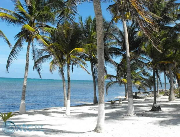 Flying Cloud Hotel hotel detail image 3