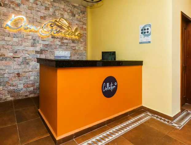 Hotel Beach Don Gonzalo hotel detail image 4