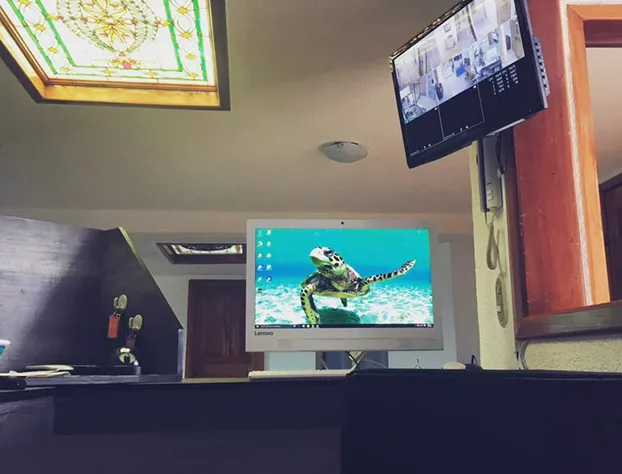 Izsla Suites hotel detail image 4