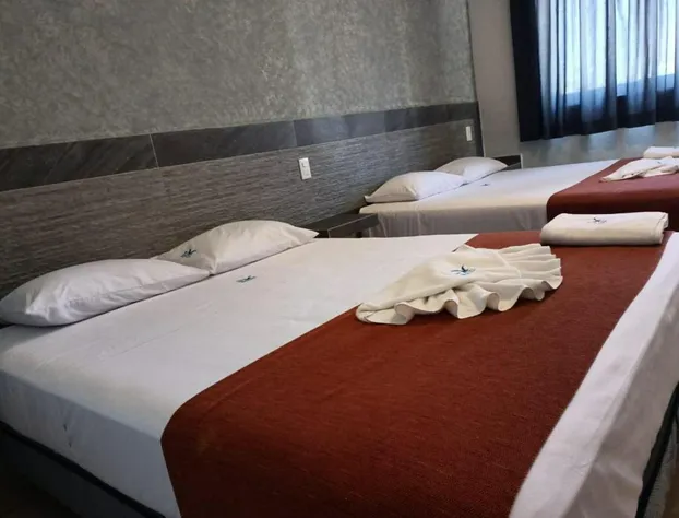 Hotel Albatros La Peñita-Guayabitos hotel detail image 4