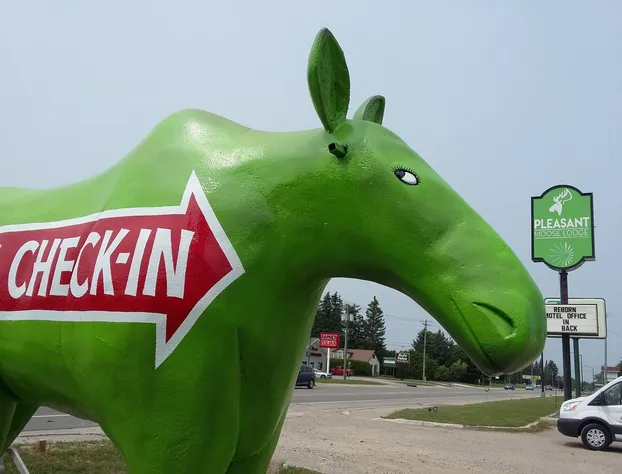 Pleasant Moose Lodge hotel detail image 2