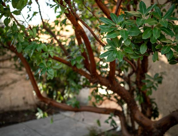 Seven Branches Venue and Inn hotel detail image 3