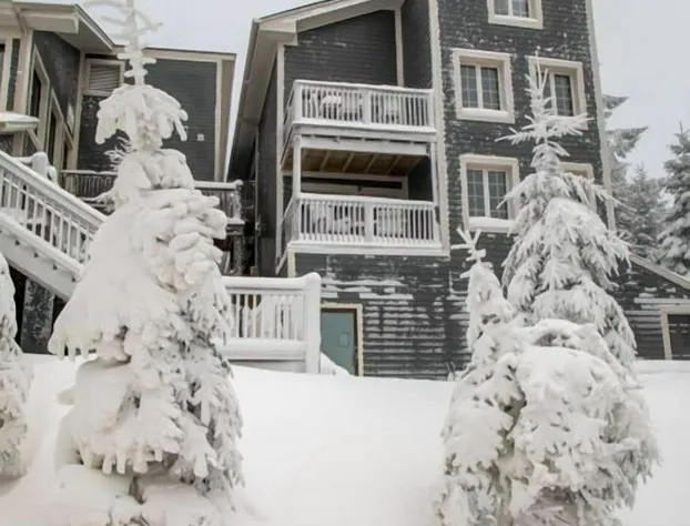 Corduroy Inn and Lodge, Trademark Collection by Wyndham hotel detail image 4