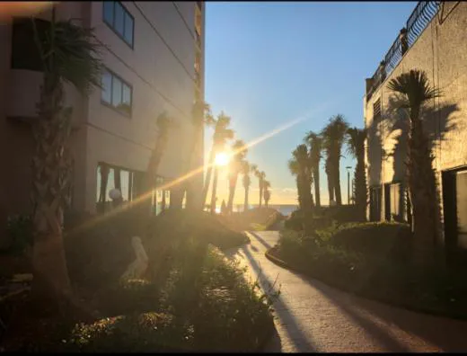 The Palms Resort hotel detail image 3