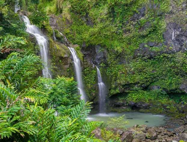 Koa Resort 3J hotel detail image 3