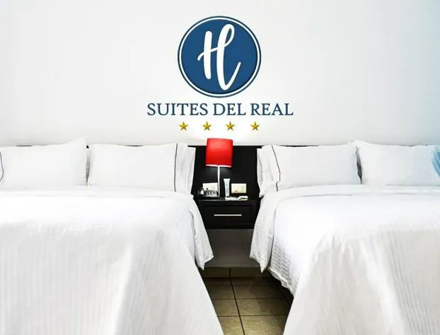 Hotel Suites del Real hotel detail image 2