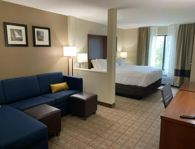 Comfort Inn & Suites hotel detail image 4