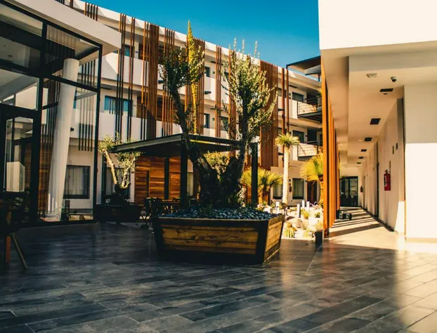 Hotel Mina Real Matehuala hotel detail image 3