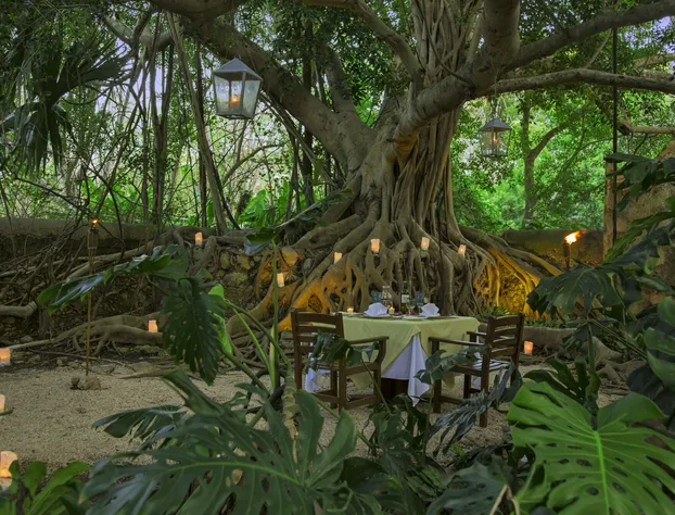 Hacienda San Jose Cholul hotel detail image 4