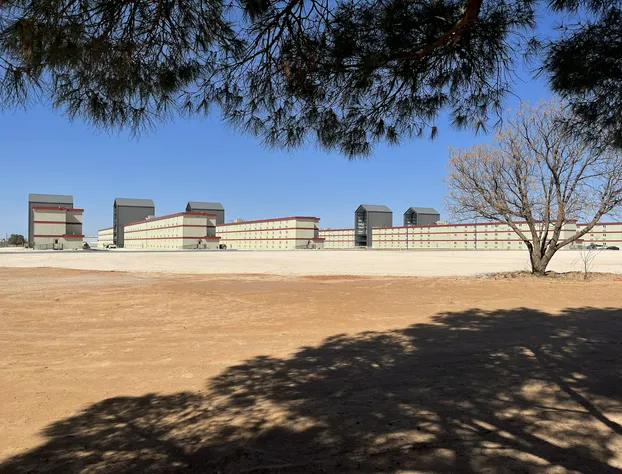 The Armadillo Hotel hotel detail image 1