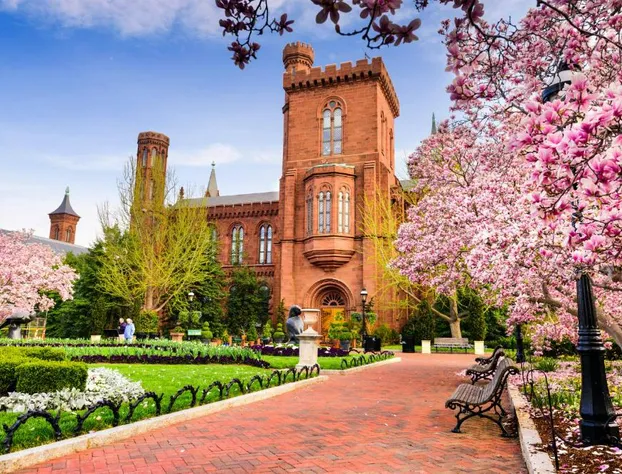 Holiday Inn Express Washington DC Downtown by IHG hotel detail image 2