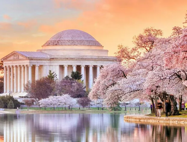 Holiday Inn Express Washington DC Downtown by IHG hotel detail image 3