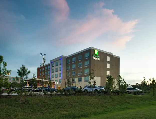 Holiday Inn Express Orlando – South Park by IHG hotel detail image 1