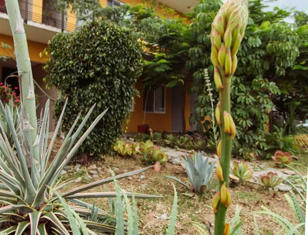 Hotel Guivá San Pablo hotel detail image 2