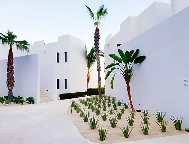 Marquis Los Cabos, An All Inclusive, Adults Only & No Timeshare Resort hotel detail image 2