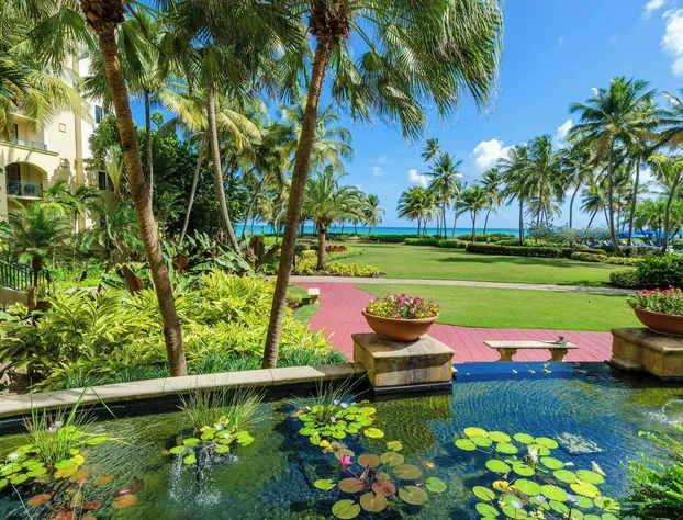 Wyndham Grand Rio Mar Rainforest Beach and Golf Resort hotel detail image 1