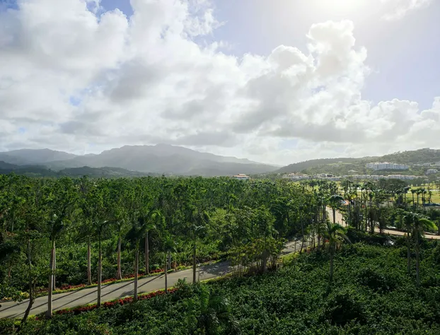 Wyndham Grand Rio Mar Rainforest Beach and Golf Resort hotel detail image 4