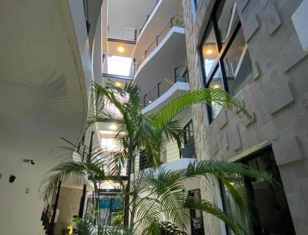 Sole Suites hotel detail image 4