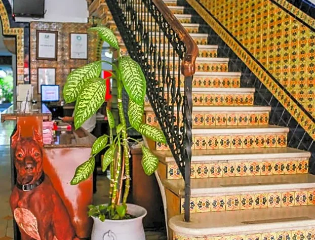 Hotel Colon hotel detail image 3