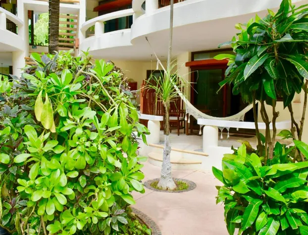 Playa Palms Beach Hotel hotel detail image 4