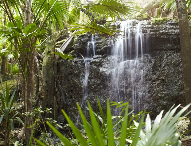 Viceroy Riviera Maya, a Luxury Villa Resort - Adults Only hotel detail image 1