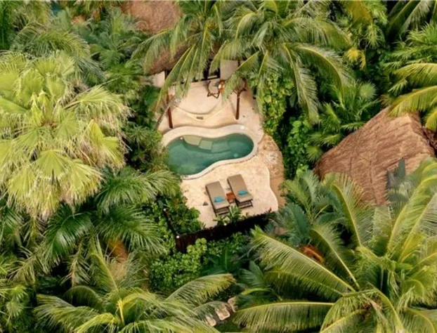 Viceroy Riviera Maya, a Luxury Villa Resort - Adults Only hotel detail image 2