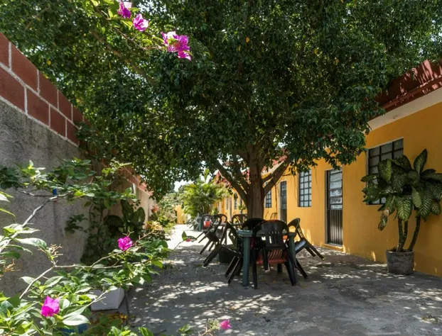 Casa Cuevas & Amaro hotel detail image 3