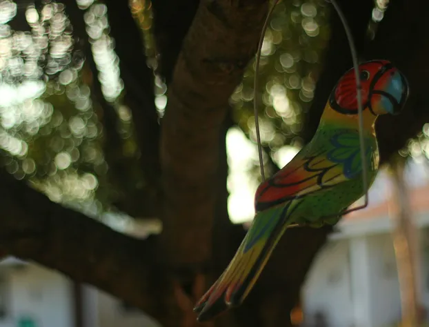 Ecovergel Hotel Boutique hotel detail image 2