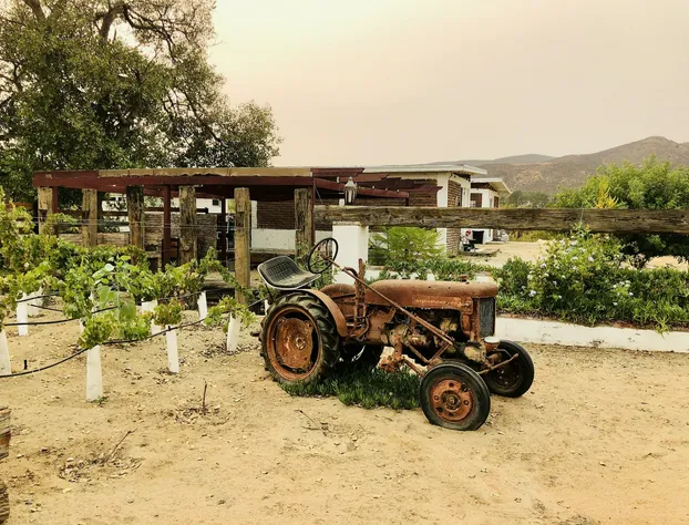 Sol y Luna hotel detail image 3