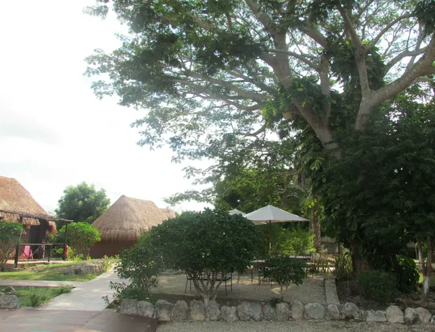 Koox Naluum Eco Hotel hotel detail image 3