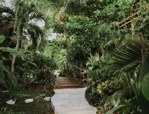 Petit Lafitte Hotel hotel detail image 2