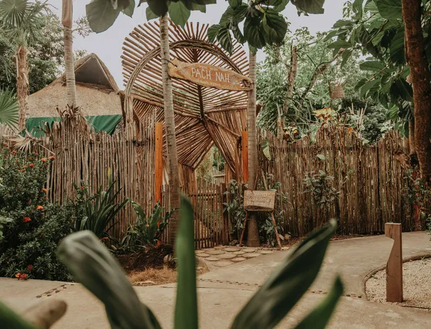 Petit Lafitte Hotel hotel detail image 3